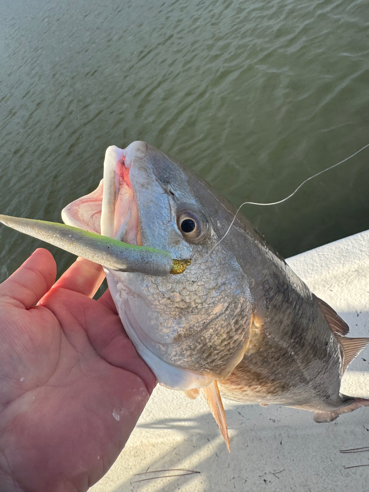 1/4oz Slot Machine Jigheads