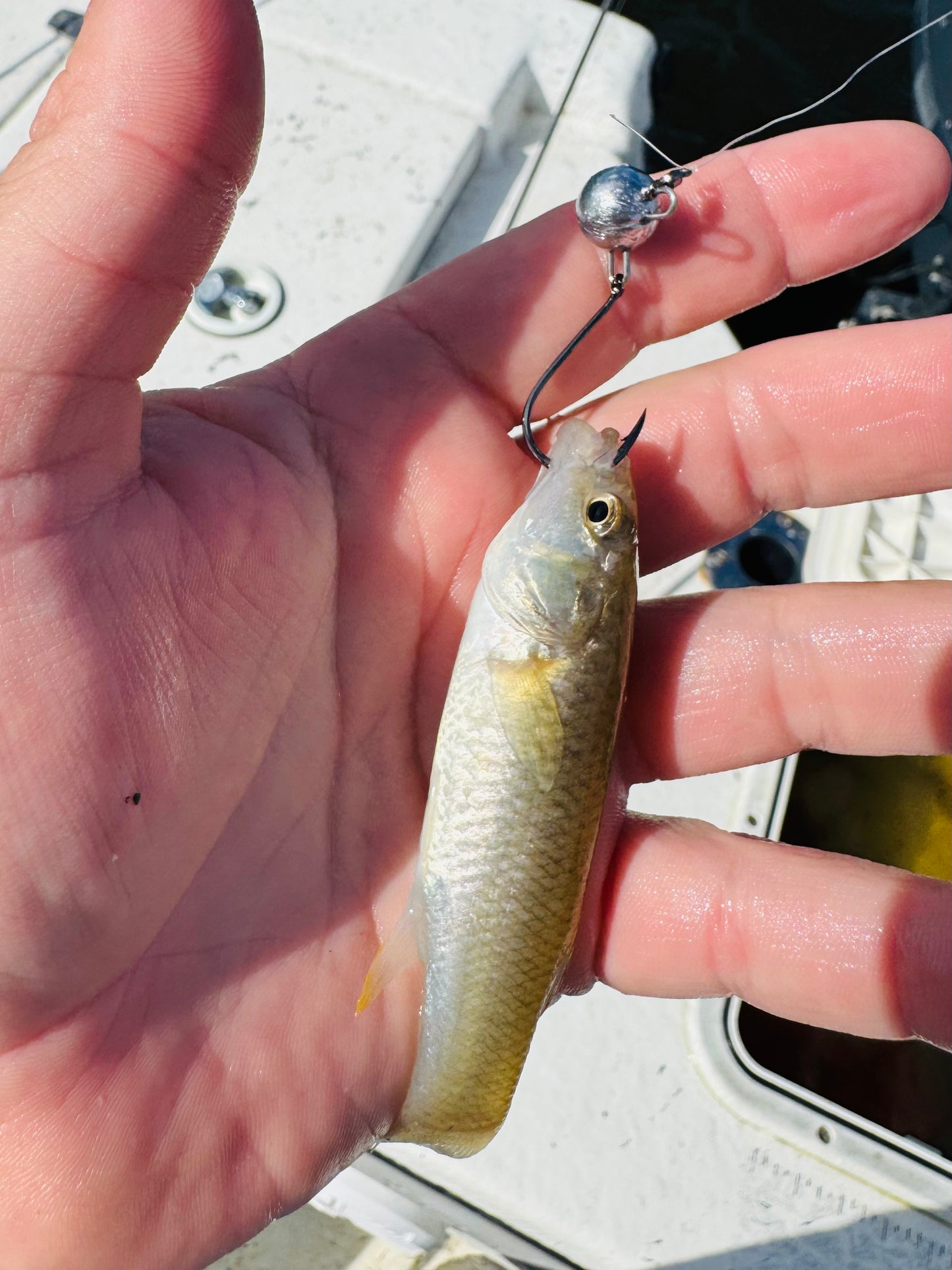 BackBay Baller Live Bait Jighead