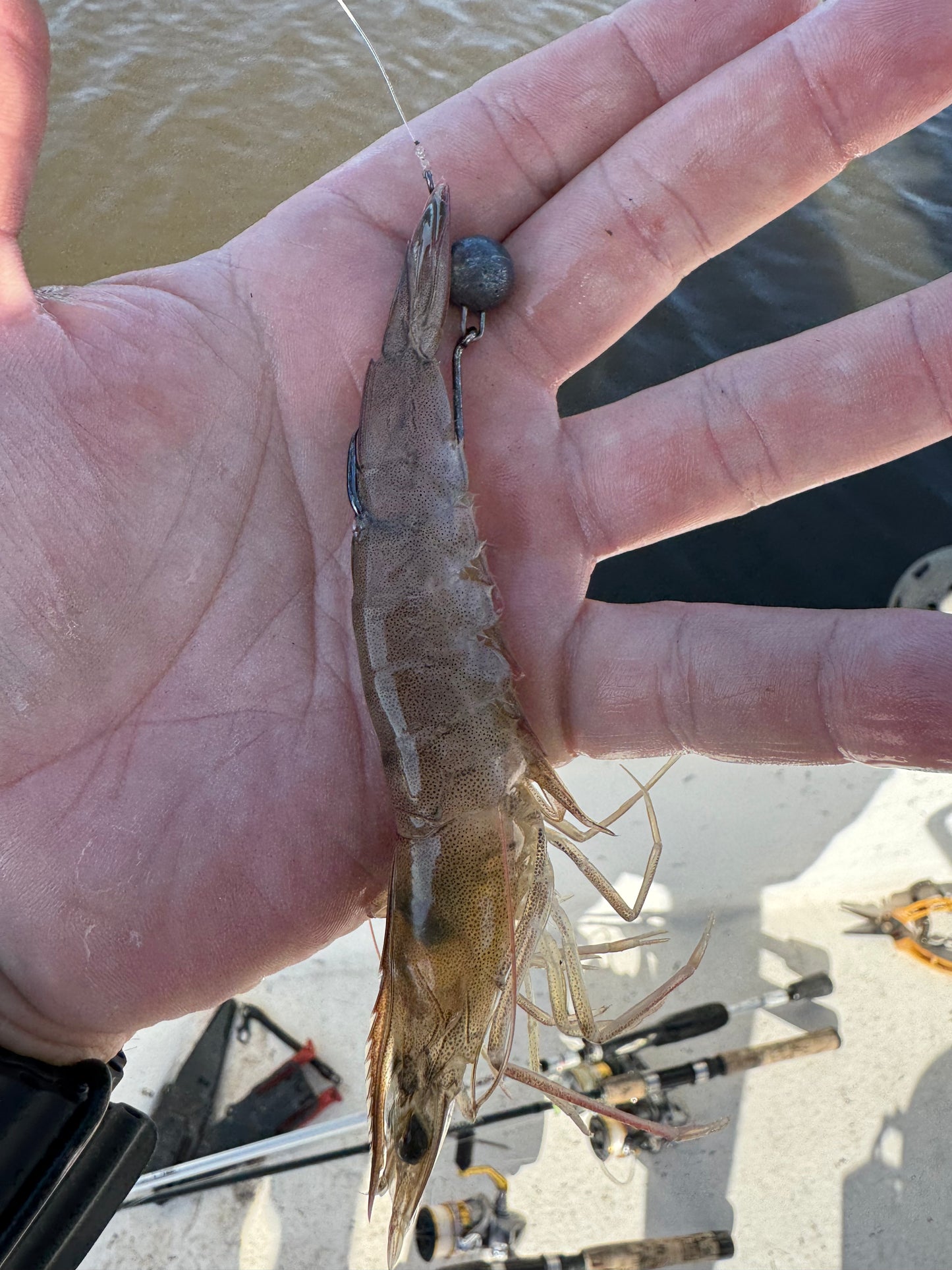 BackBay Baller Live Bait Jighead