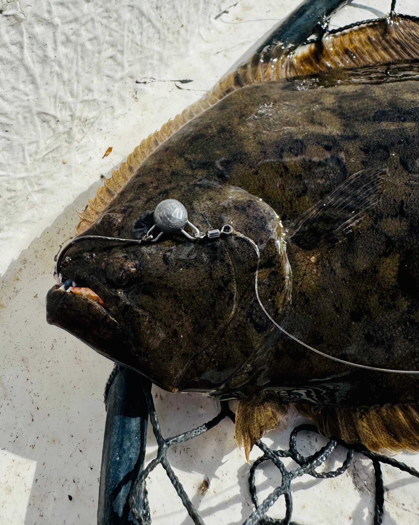 Flounder Pack