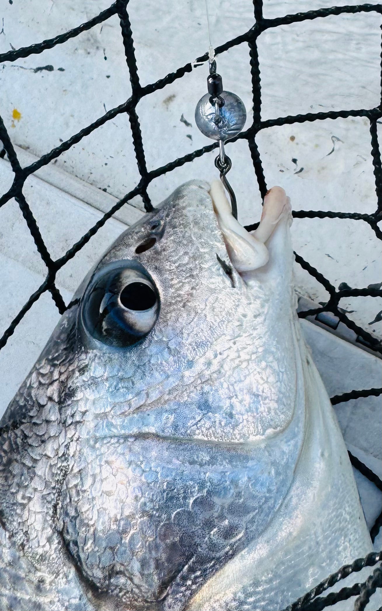 BackBay Baller Live Bait Jighead