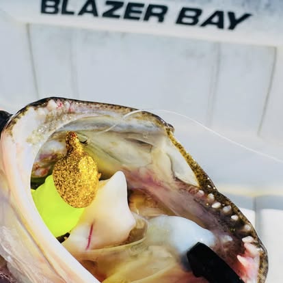 Gator Grip Jighead