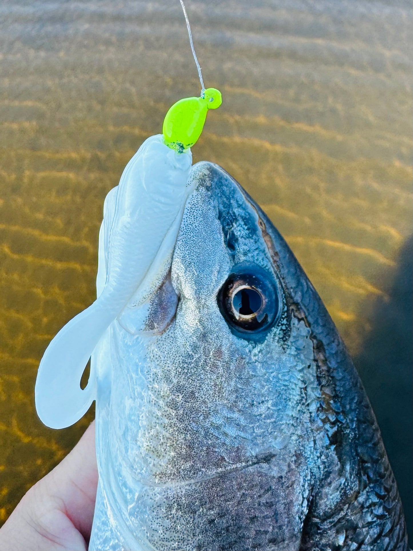 1/4oz Slot Machine Jigheads