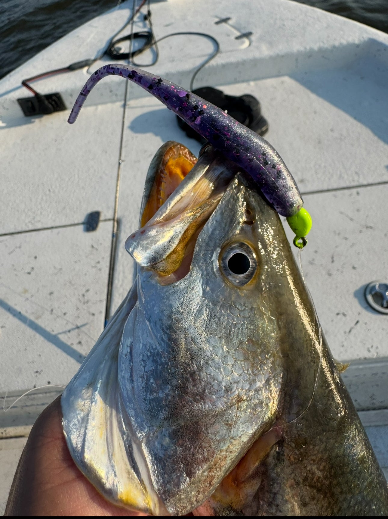 1/4oz Slot Machine Jigheads