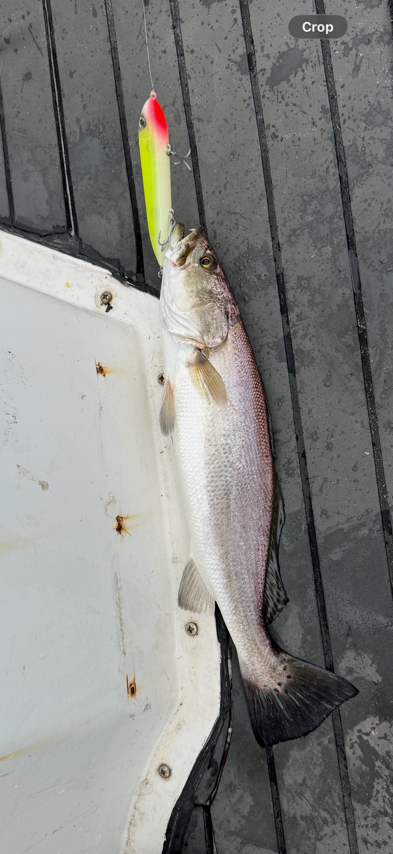 Drftwd Custom Topwaters