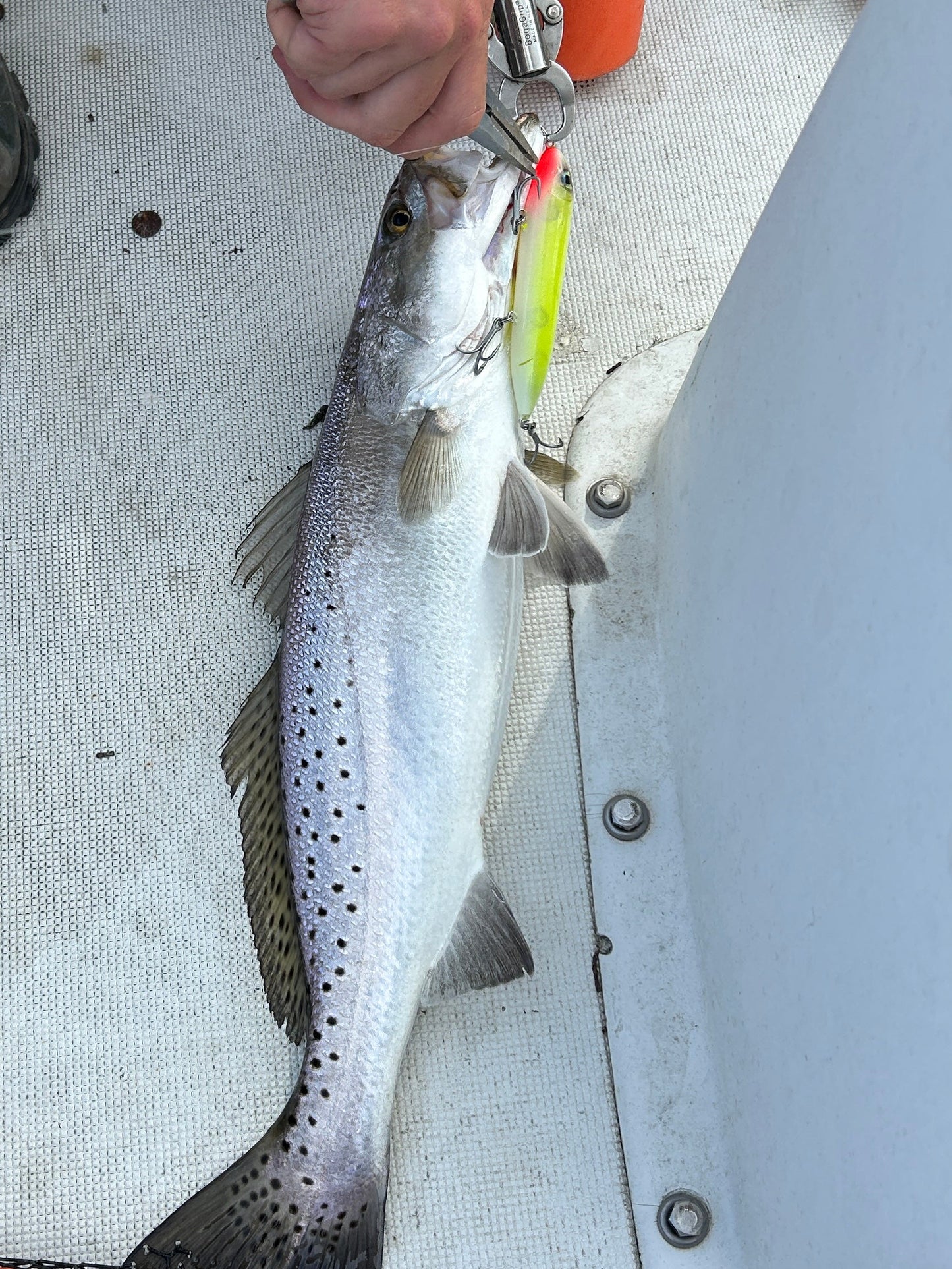 Drftwd Custom Topwaters