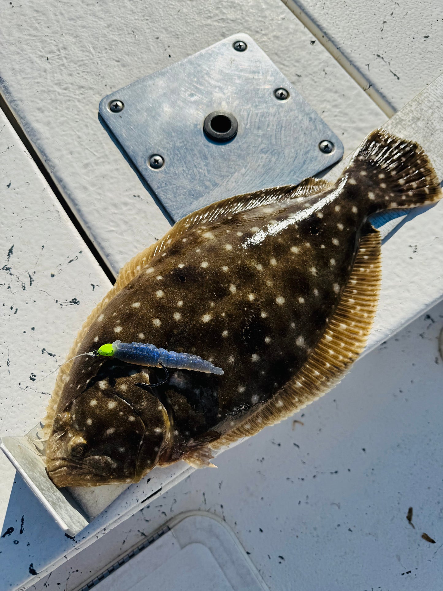 1/4oz Slot Machine Jigheads