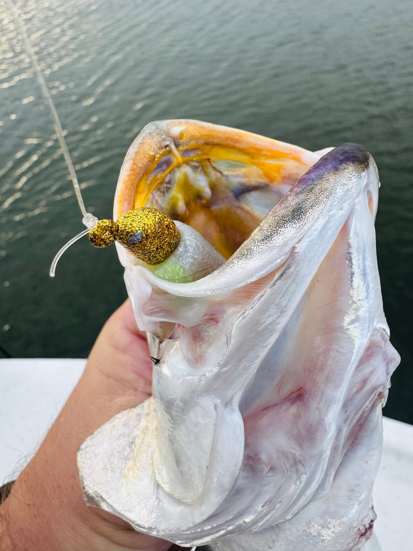 1/4oz Slot Machine Jigheads