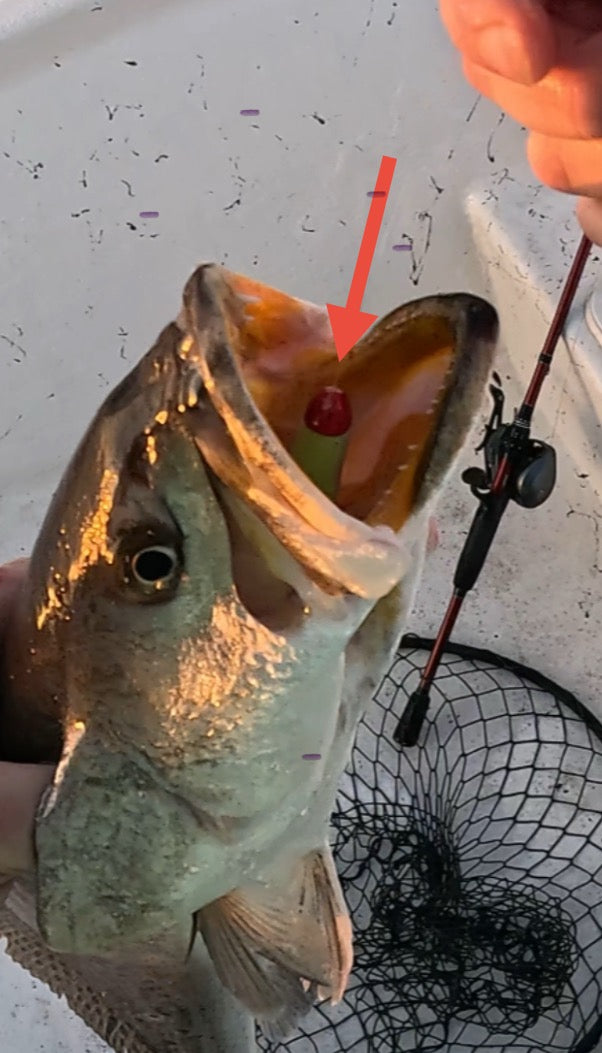 Gator Grip Jighead
